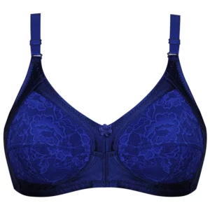 سوتین زنانه پانیذ کد 66373-6