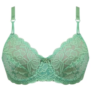 سوتین زنانه پانیذ مدل 66367-GB