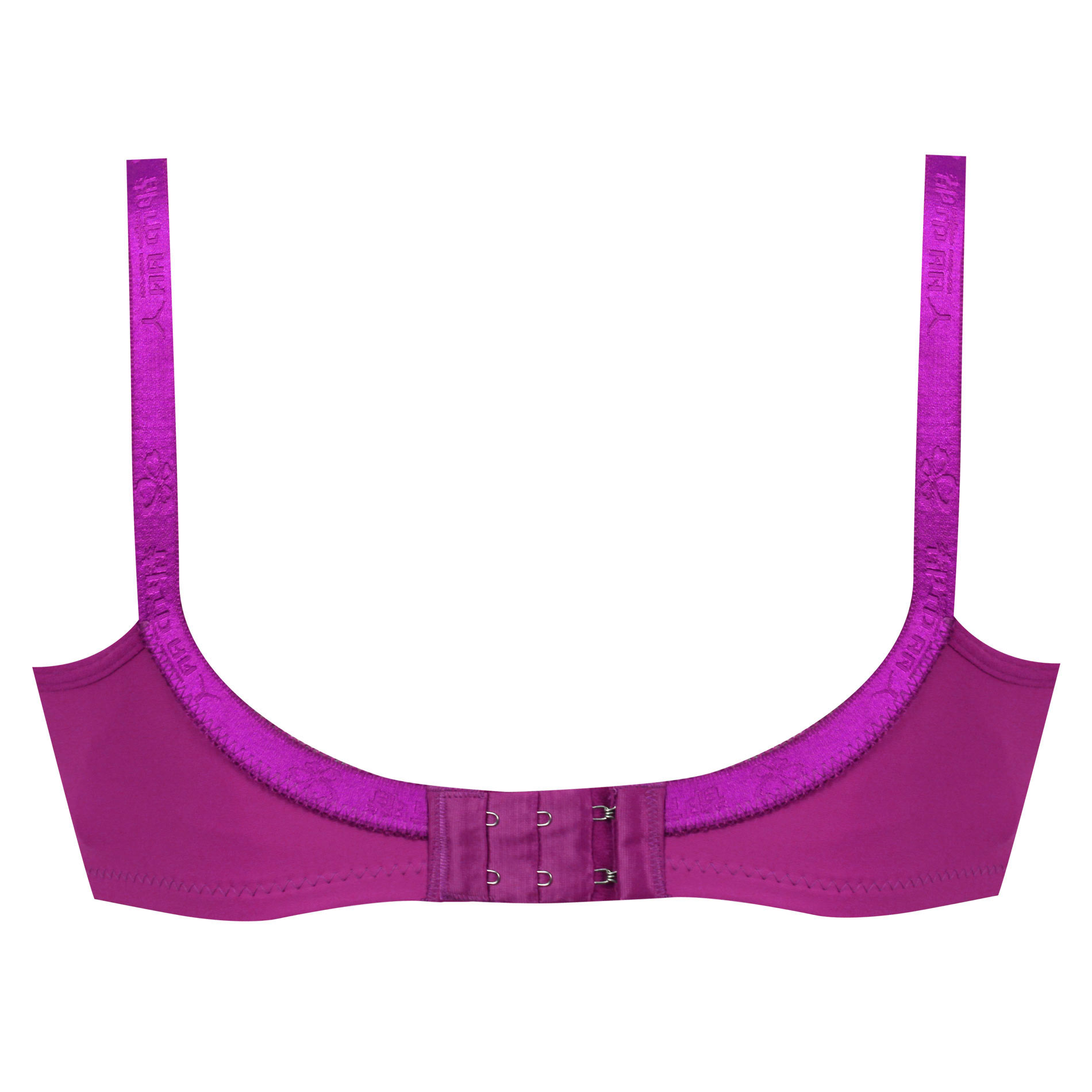 سوتین زنانه پانیذ مدل 22200-PU - تصویر 2