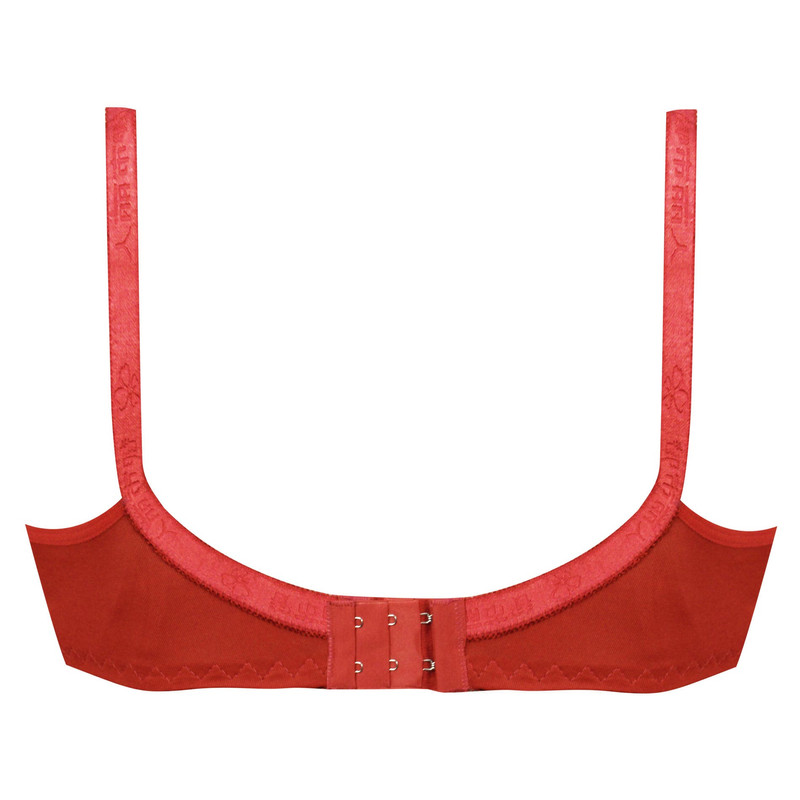 سوتین زنانه پانیذ مدل 22201-R - تصویر 2