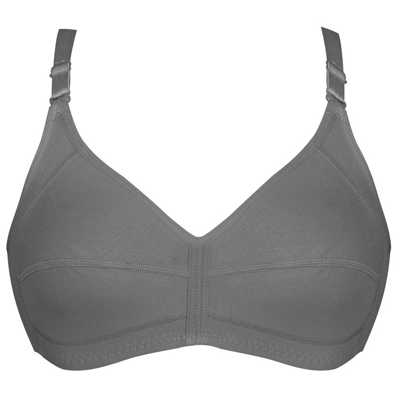 سوتین زنانه پانیذ مدل 66318 طوسی